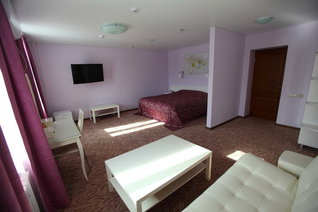 Гостиница Два крыла Ярославль-88