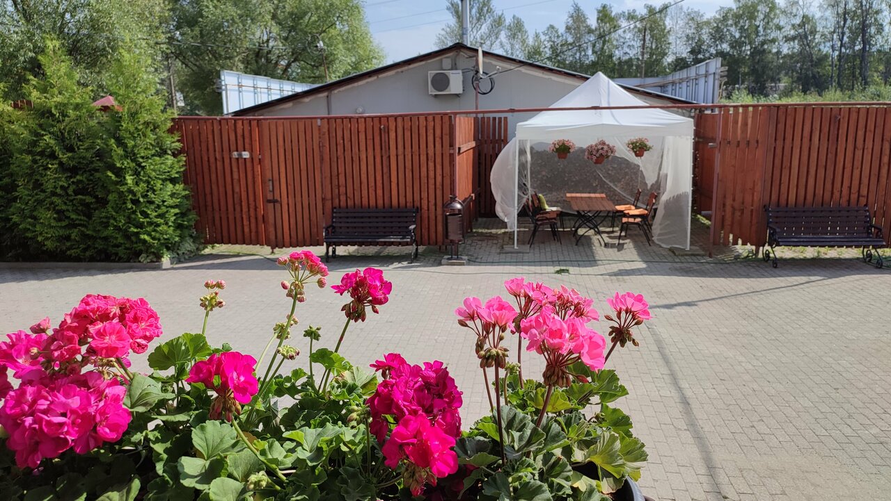 Гостиница Два крыла Ярославль-237