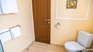 Гостиница Два крыла Ярославль-193