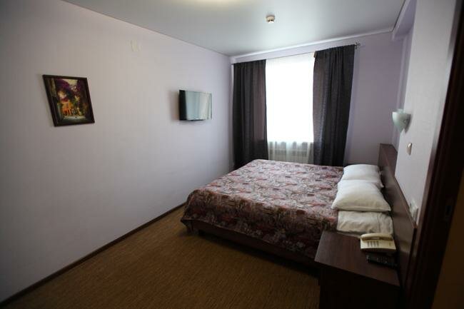 Гостиница Два крыла Ярославль-205