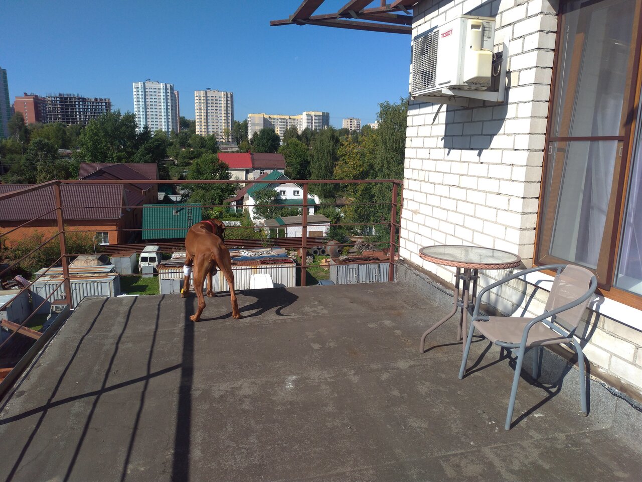 Гостиница Два крыла Ярославль-234