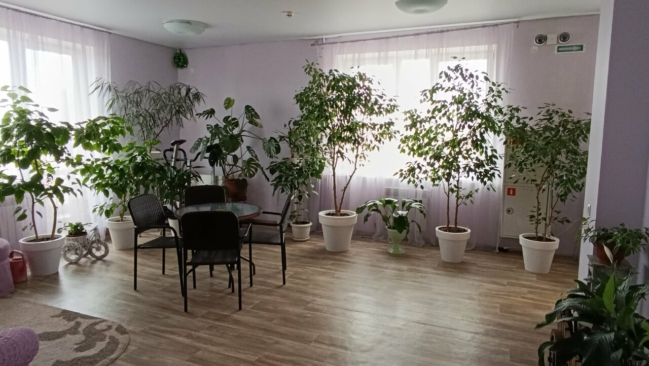 Гостиница Два крыла Ярославль-248