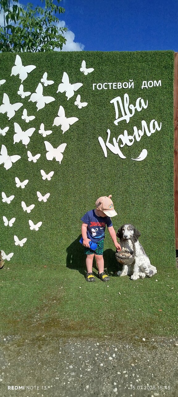 Гостиница Два крыла Ярославль-228