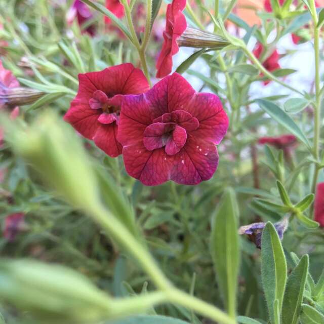 Гостиница Два крыла Ярославль-38